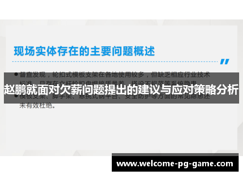 赵鹏就面对欠薪问题提出的建议与应对策略分析