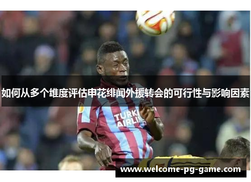 如何从多个维度评估申花绯闻外援转会的可行性与影响因素 如何从多个维度评估申花绯闻外援转会的可行性与影响因素